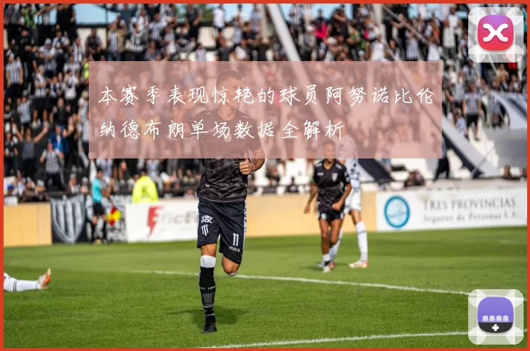 本赛季表现惊艳的球员阿努诺比伦纳德布朗单场数据全解析